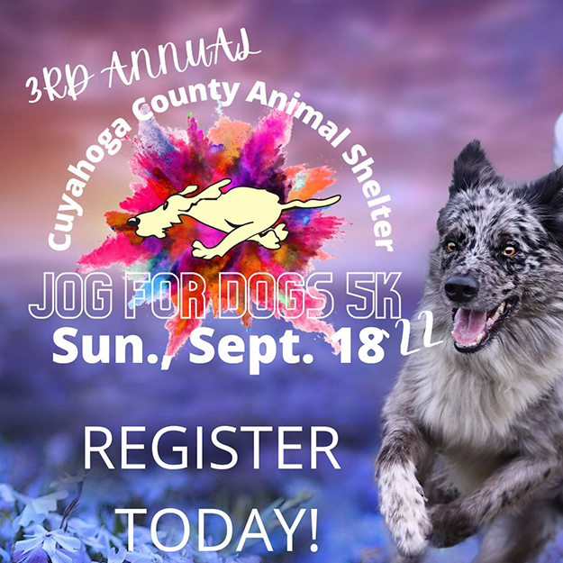 Jog for Dogs poster