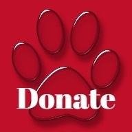 graphic of dog paw with Donate on it