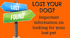 Have you lost your dog?